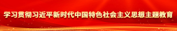 美女被阴穴网站学习贯彻习近平新时代中国特色社会主义思想主题教育